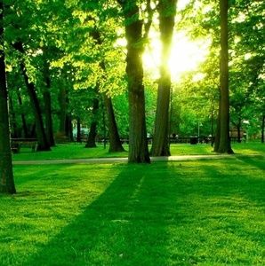 Meet your Posher, Kassandra